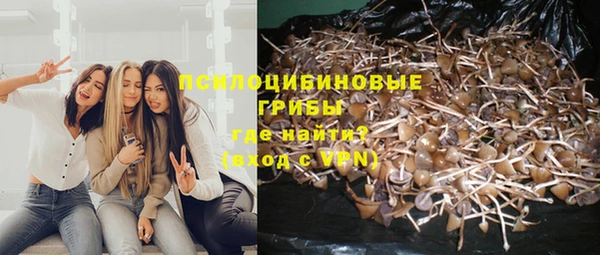 твердый Балабаново